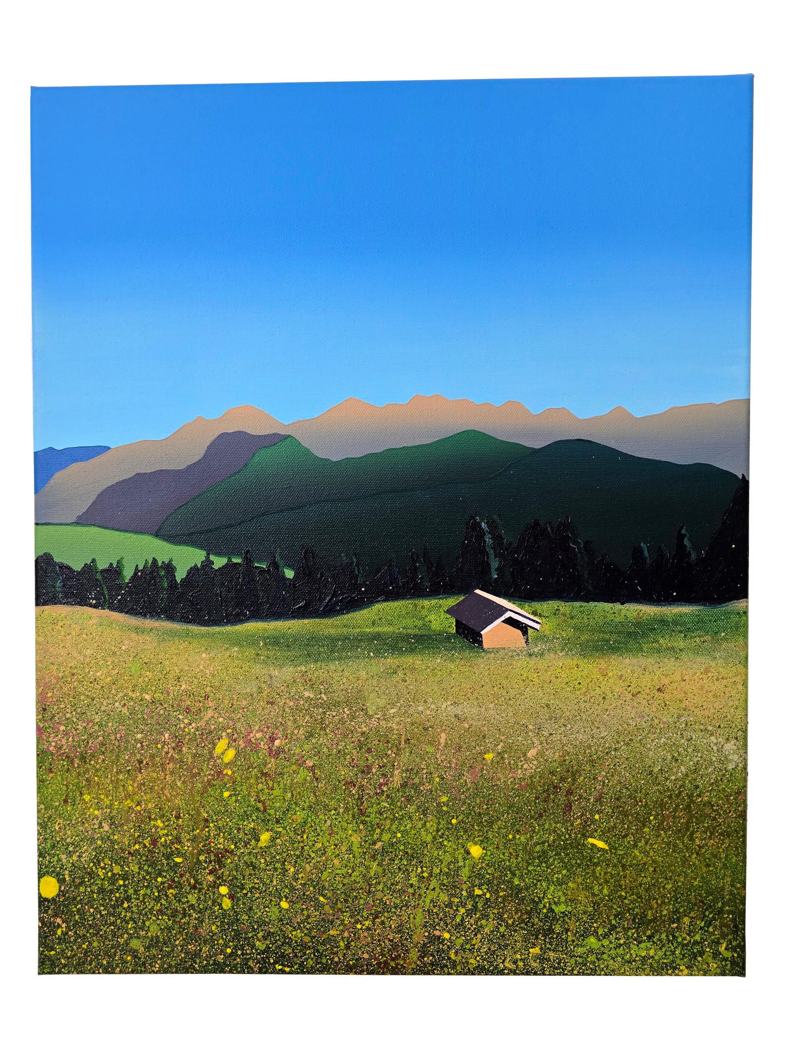 Zettersfeld (The Meadow)