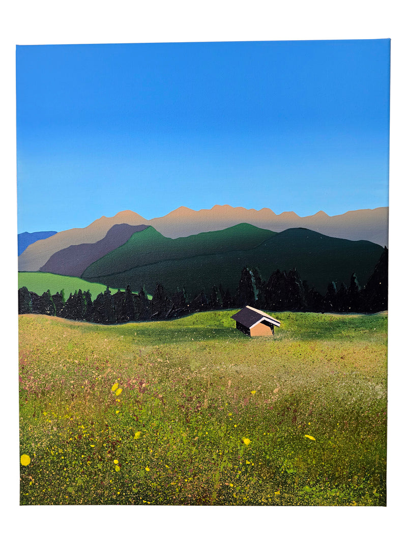 Zettersfeld (The Meadow)