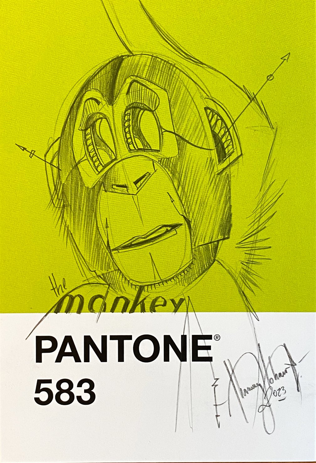 Pantone Monkey