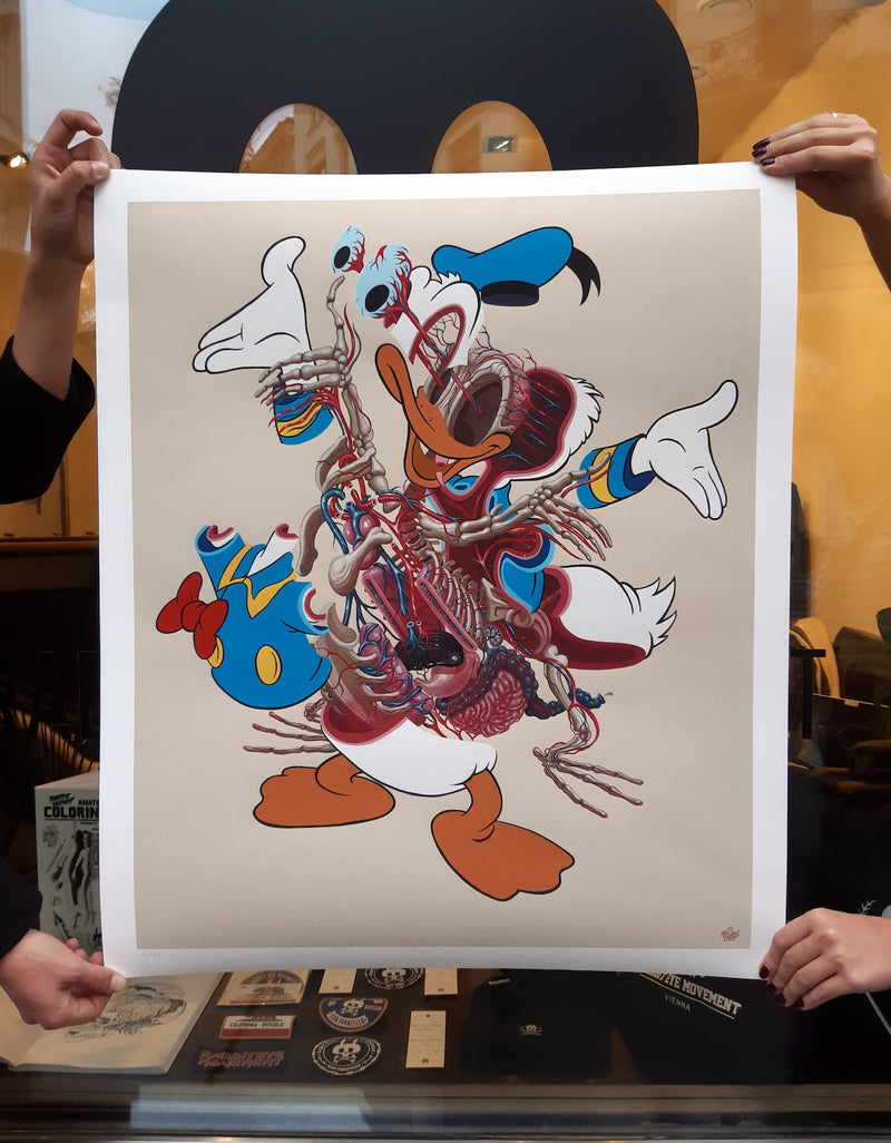 DISSECTION OF DONALD DUCK